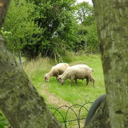 Le Petit Couvent Ferienhaus *
