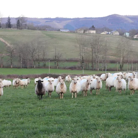 펜션 Le Petit Couvent *