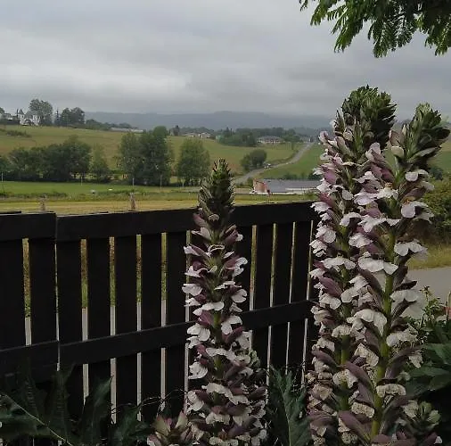 펜션 Le Petit Couvent