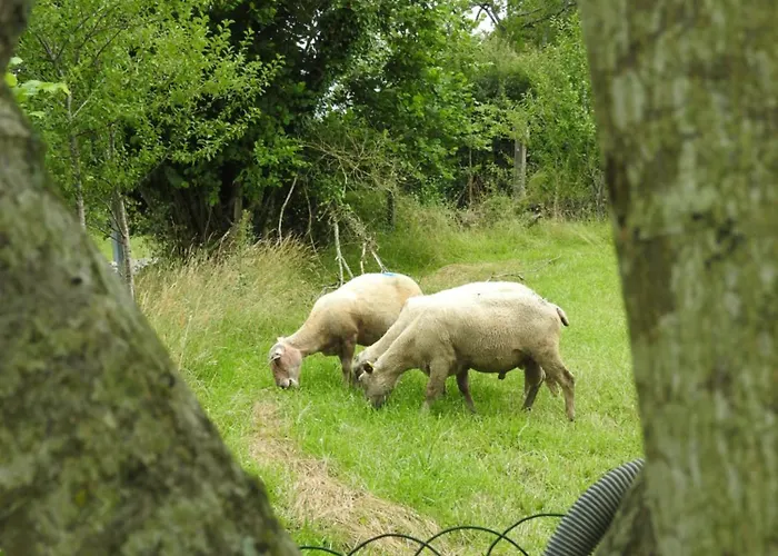 Le Petit Couvent Prázdninový dům *