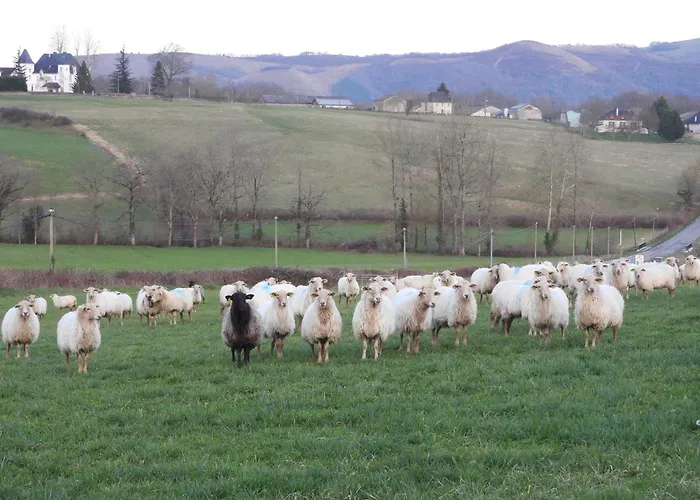 Prázdninový dům Le Petit Couvent *